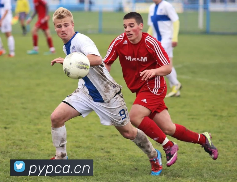 乐鱼体育在线登录官网平台生态图