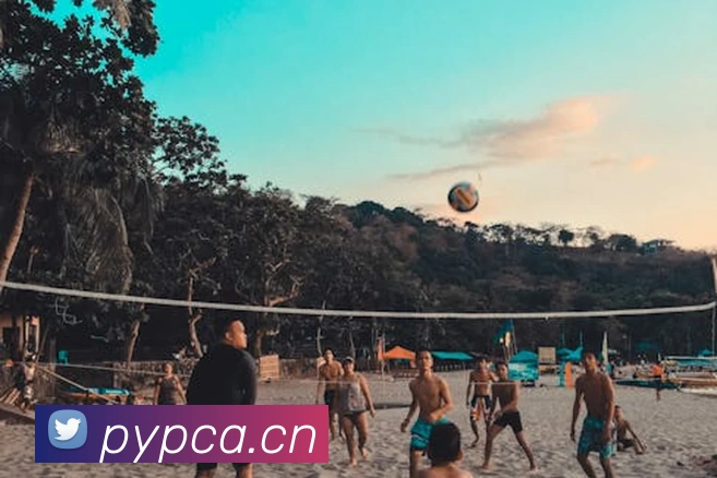 乐鱼体育在线登录官网全站App